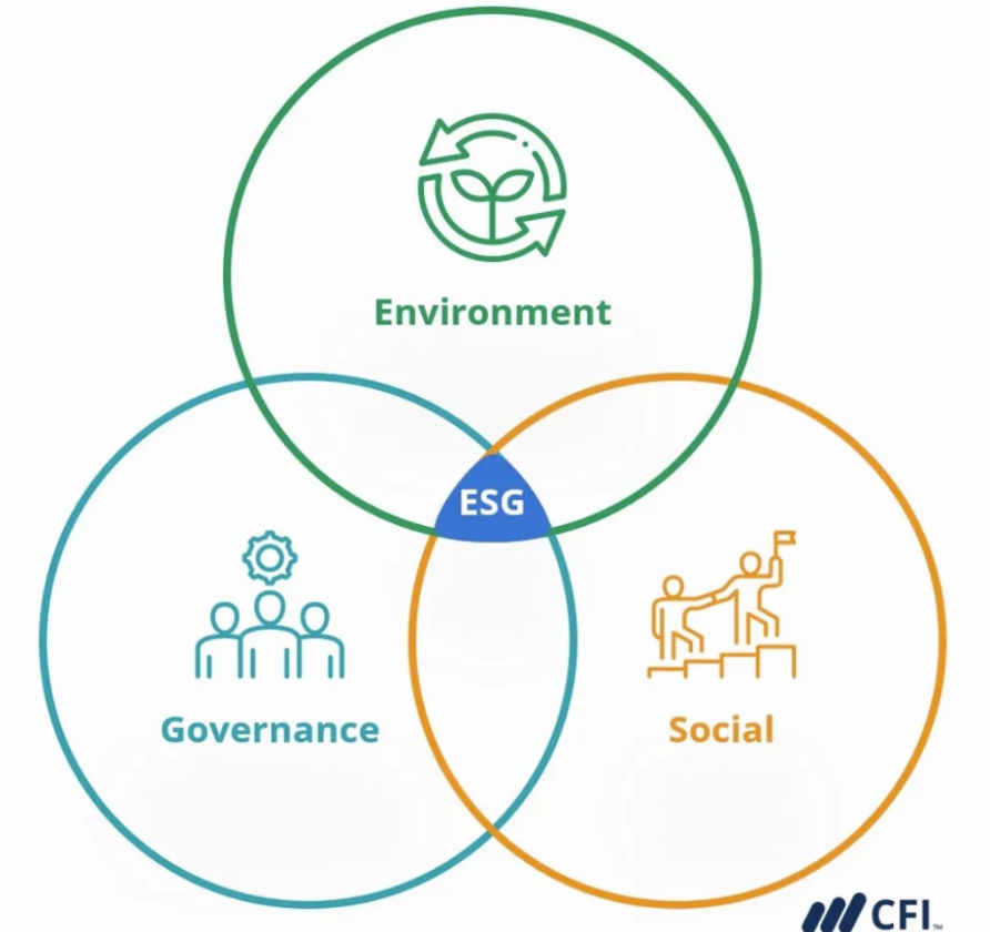cac-thanh-to-cua-esg